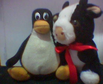 Seagull the Penguin and Beef the Cow